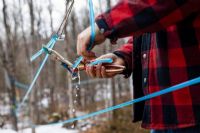 Sirop d’érable : alerte en Estrie